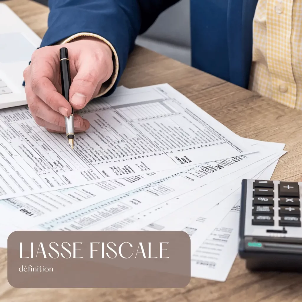 LIASSE FISCALE : définition 1 LIASSE FISCALE definition