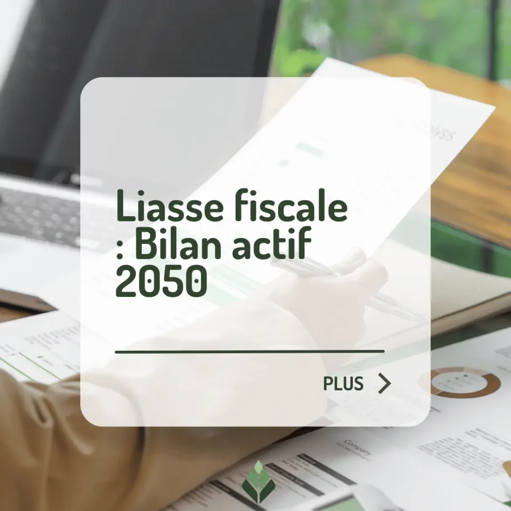 Liasse fiscale : Bilan actif 2050 1 Liasse fiscale Bilan actif 2050