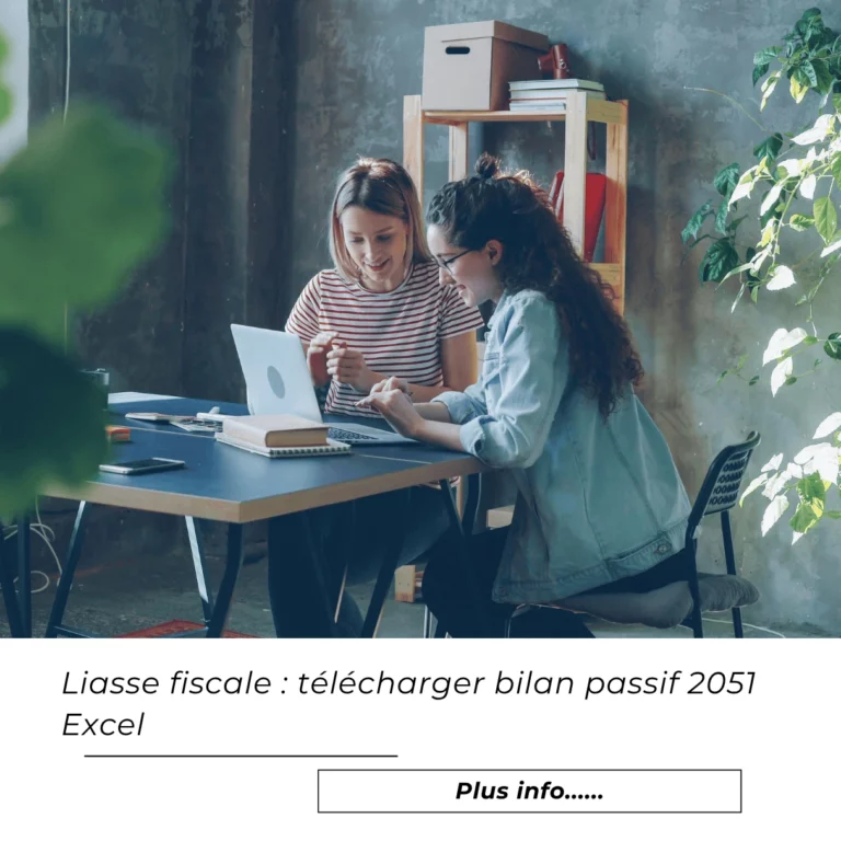 Liasse fiscale : télécharger bilan passif 2051 Excel