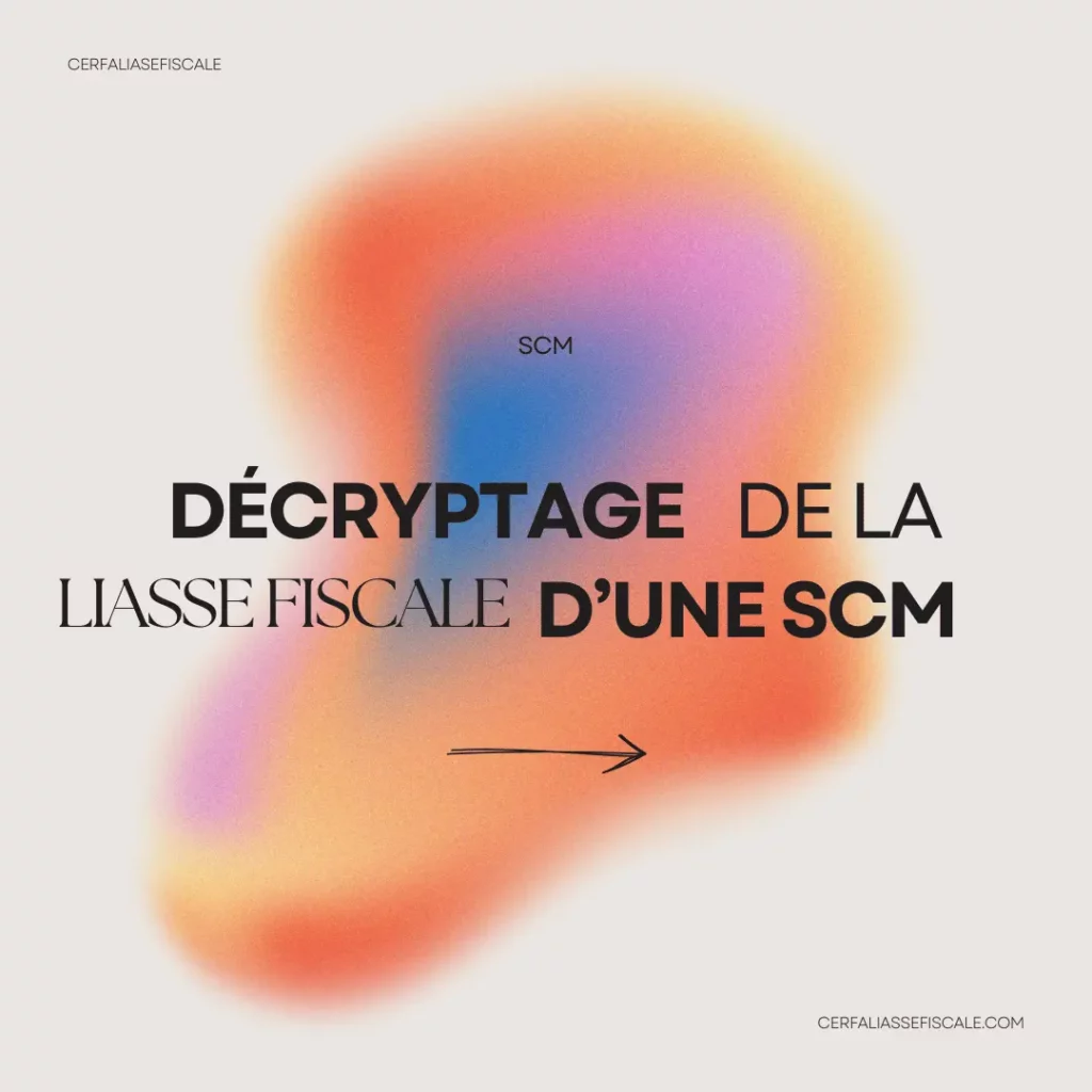 Decryptage de la liasse fiscale dune SCM