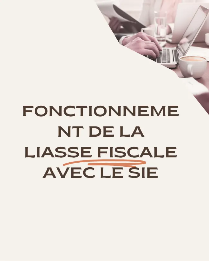  Fonctionnement de la liasse fiscale avec le SIE