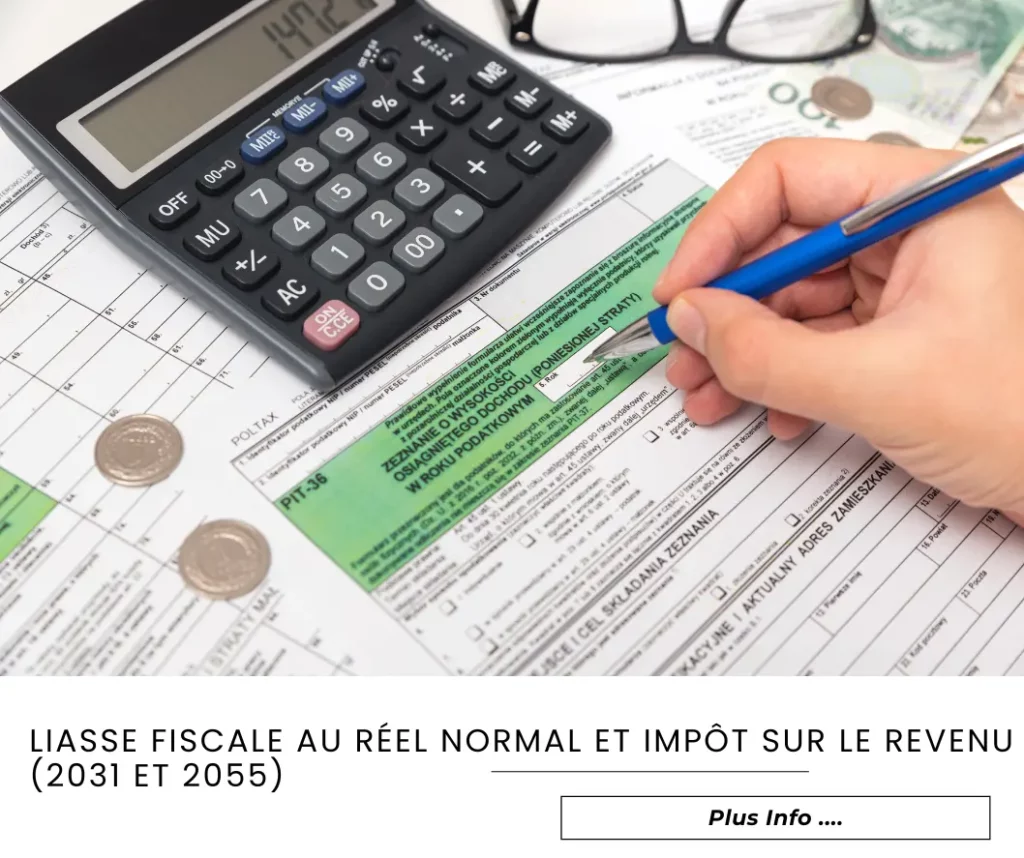 Liasse fiscale au reel normal et impot sur le revenu 2031 et 2055