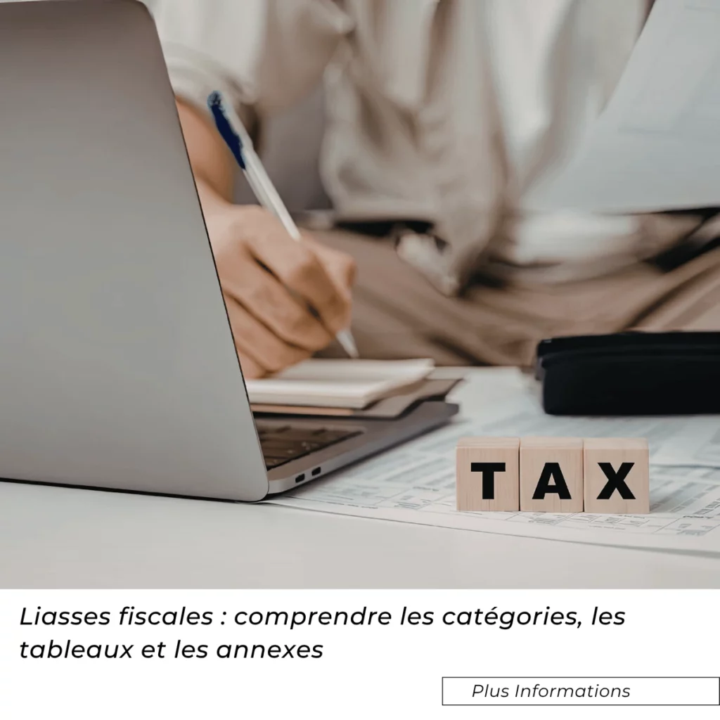 Liasses fiscales : comprendre les catégories, les tableaux et les annexes