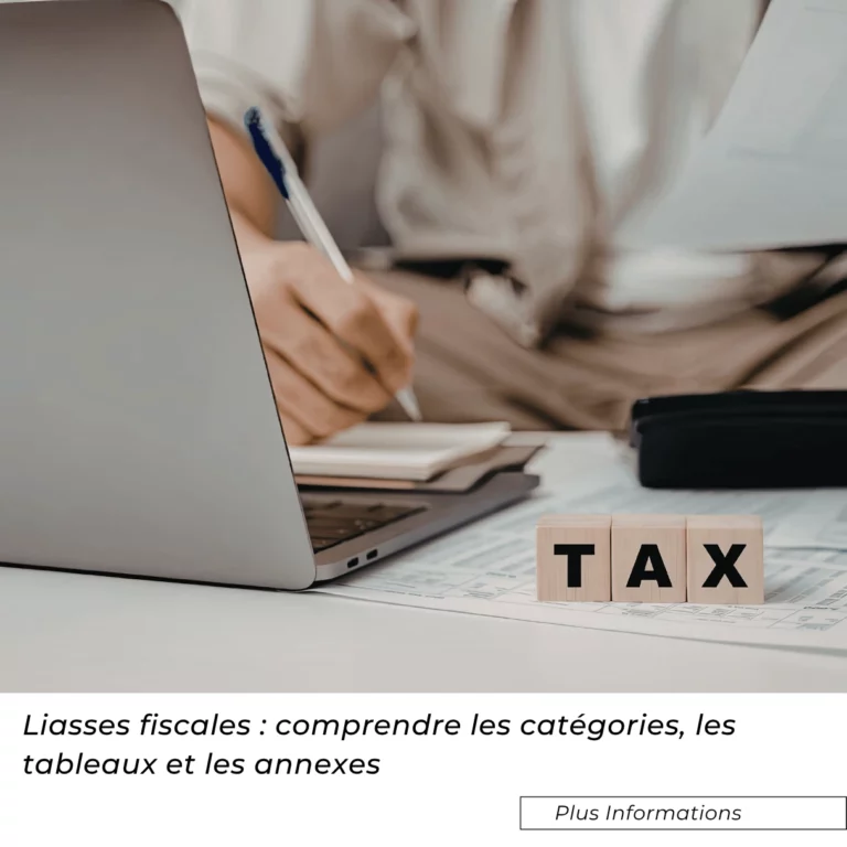 Liasses fiscales : comprendre les catégories, les tableaux et les annexes