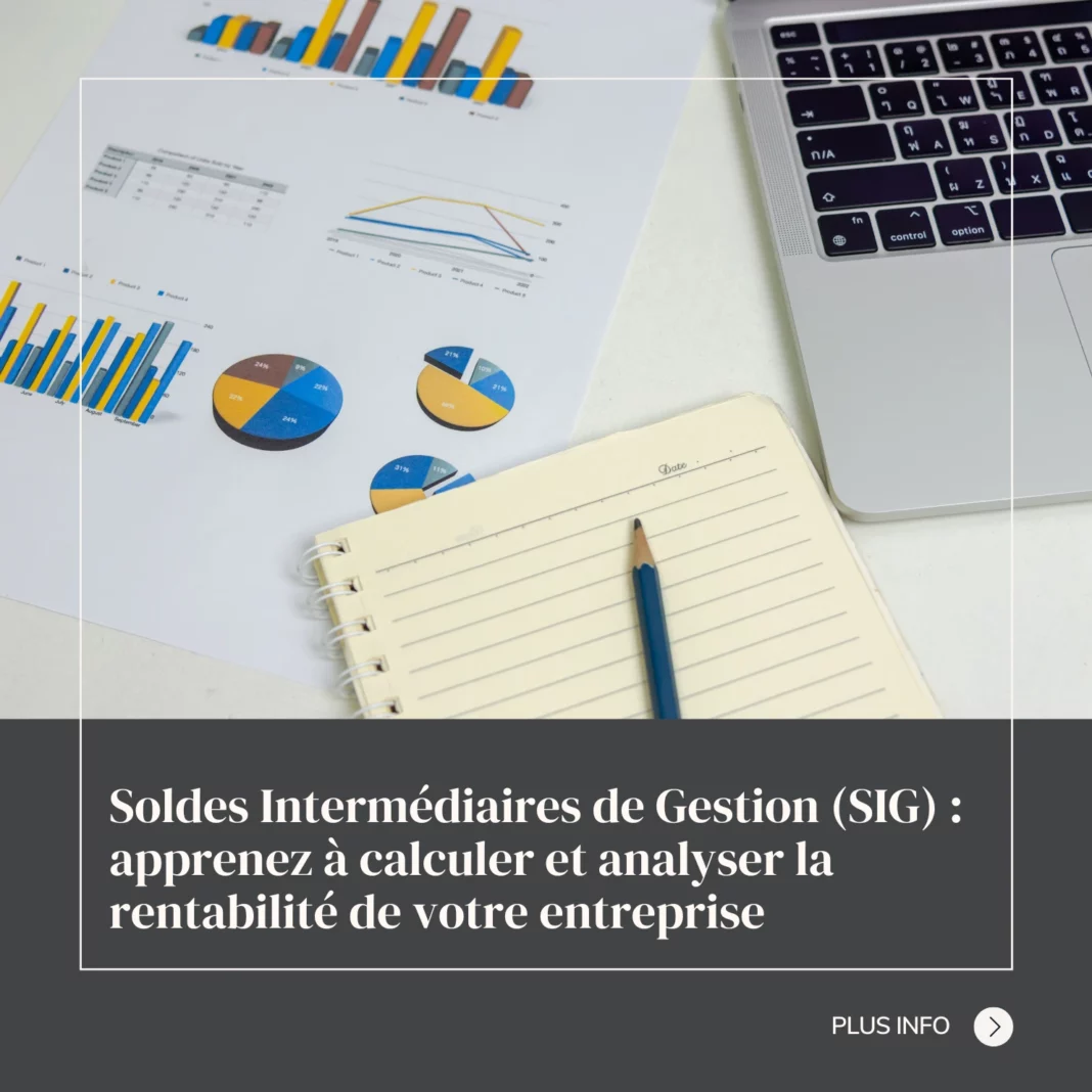 Soldes Intermédiaires de Gestion (SIG) apprenez à calculer et analyser la rentabilité de votre entreprise