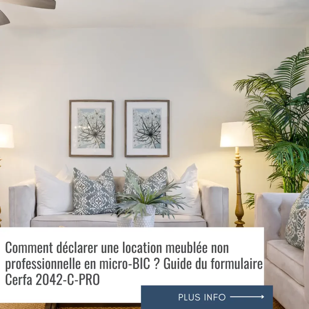 Comment déclarer une location meublée non professionnelle en micro-BIC ? Guide du formulaire Cerfa 2042-C-PRO 1 Comment déclarer une location meublée non professionnelle en micro-BIC Guide du formulaire Cerfa 2042-C-PRO