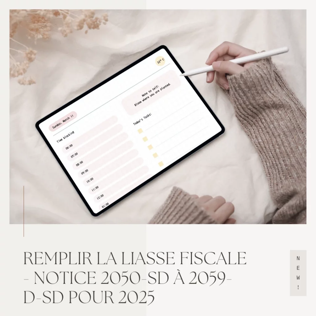 Remplir la liasse fiscale Notice 2050 SD a 2059 D SD pour 2025