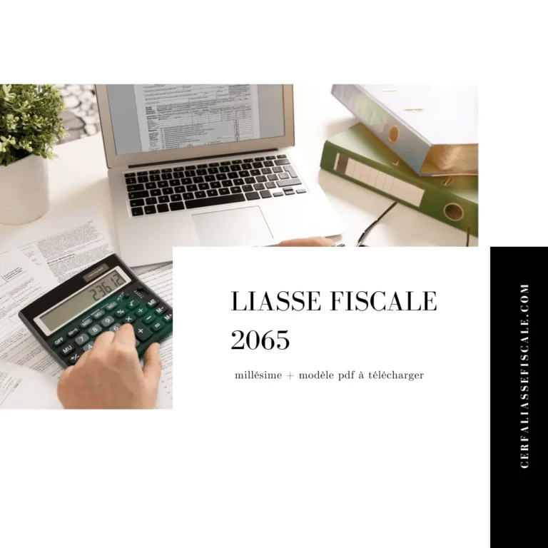 Liasse fiscale 2065 : millésime + modèle pdf à télécharger
