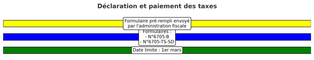 Declaration Et Paiement Des Taxes