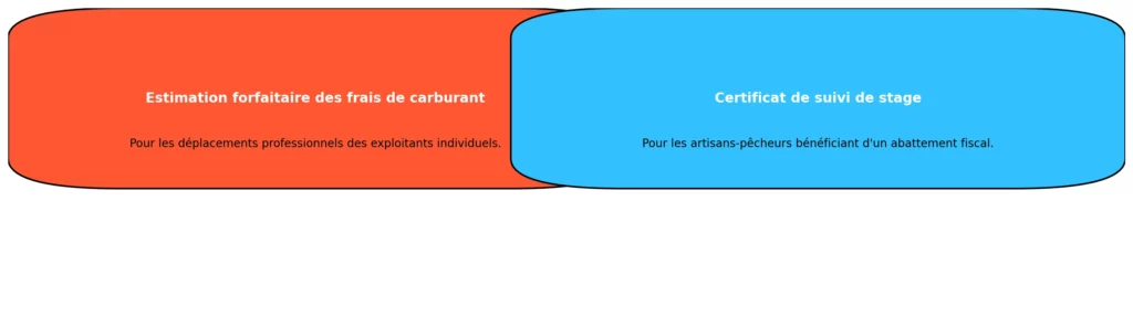 Obligations Specifiques aux Entreprises Individuelles
