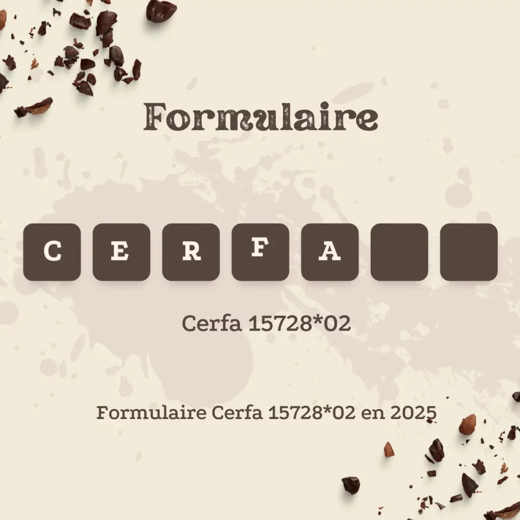 Formulaire Cerfa 15728*02 en 2025 1 Formulaire Cerfa 1572802 en 2025