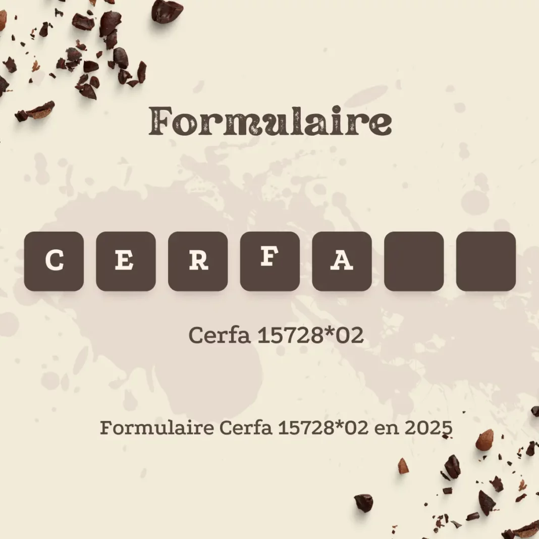 Formulaire Cerfa 15728*02 en 2025