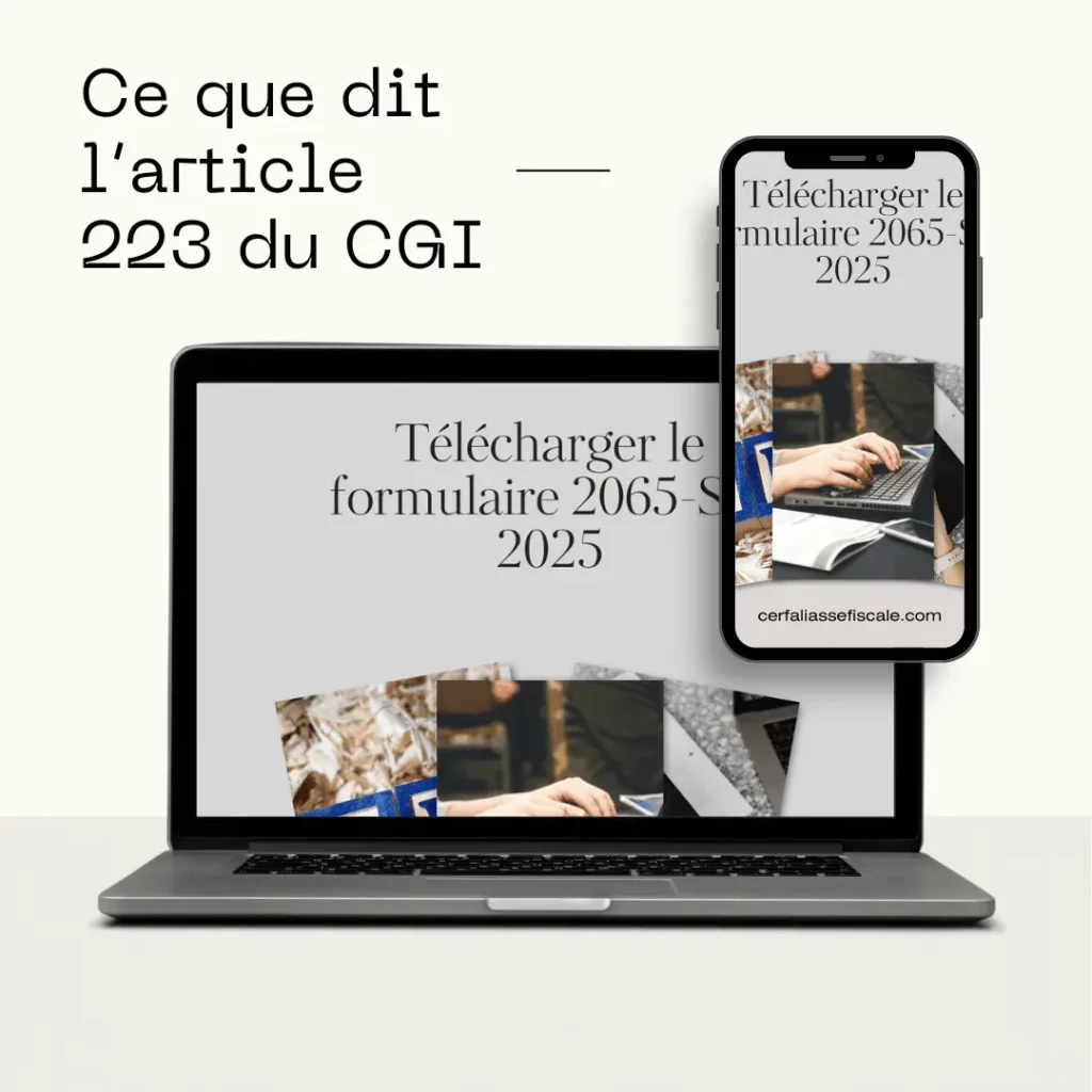 Ce que dit larticle 223 du CGI