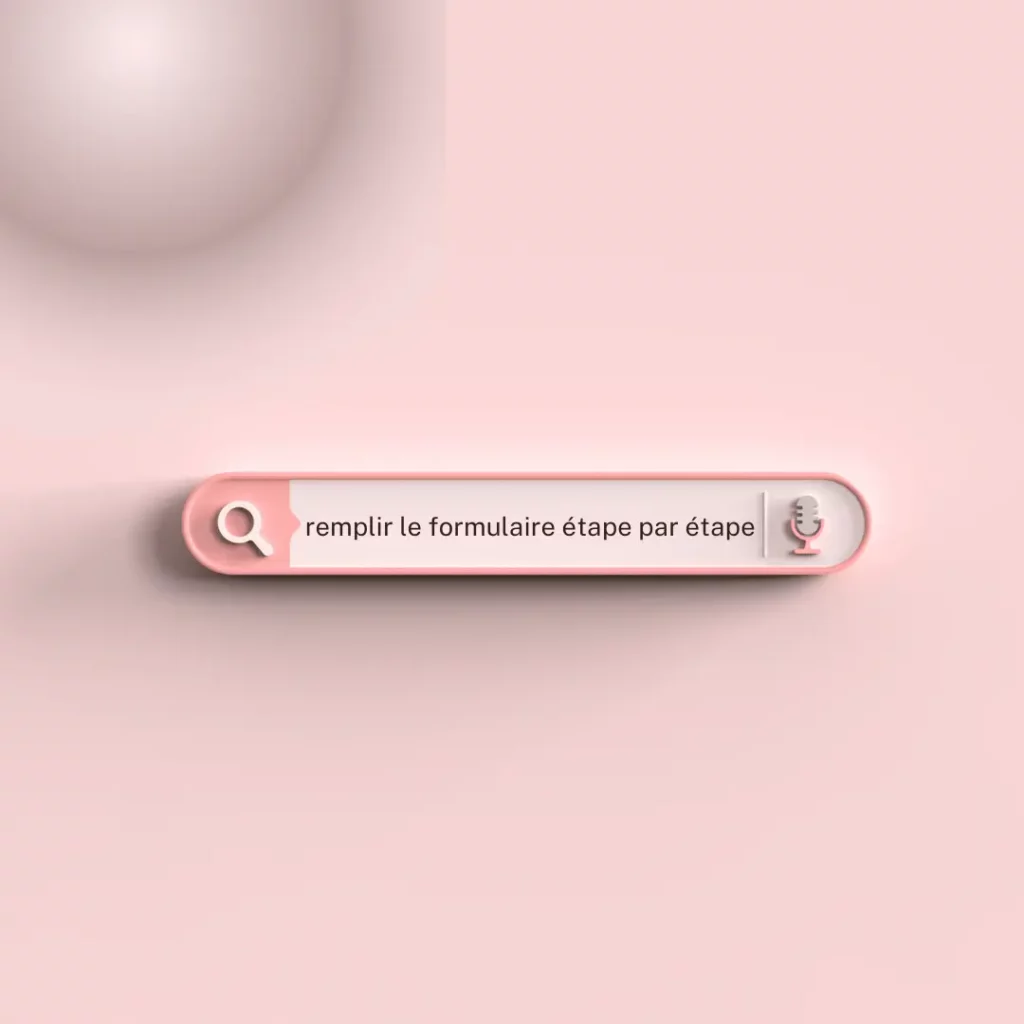 Comment remplir le formulaire etape par etape 1