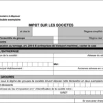 Liasse fiscale 2065-A-B