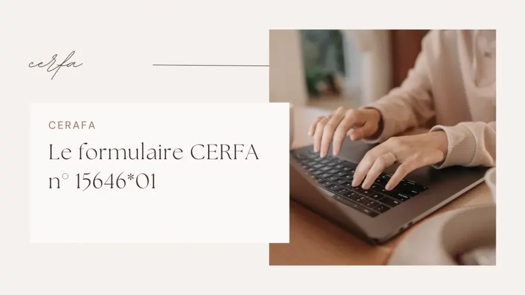 Le formulaire CERFA n° 1564601 1